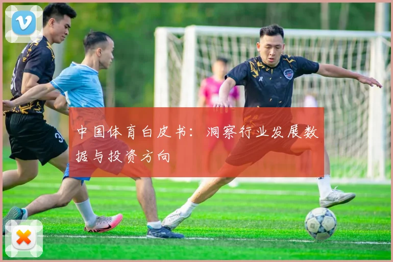 中国体育白皮书：洞察行业发展数据与投资方向