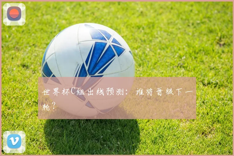 世界杯C组出线预测：谁将晋级下一轮？